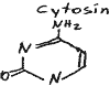 Struktur Cytosin