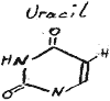 Struktur Uracil